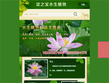 Tablet Screenshot of byddzb.com